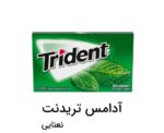 آدامس تریدنت نعنایی trident - Image 2